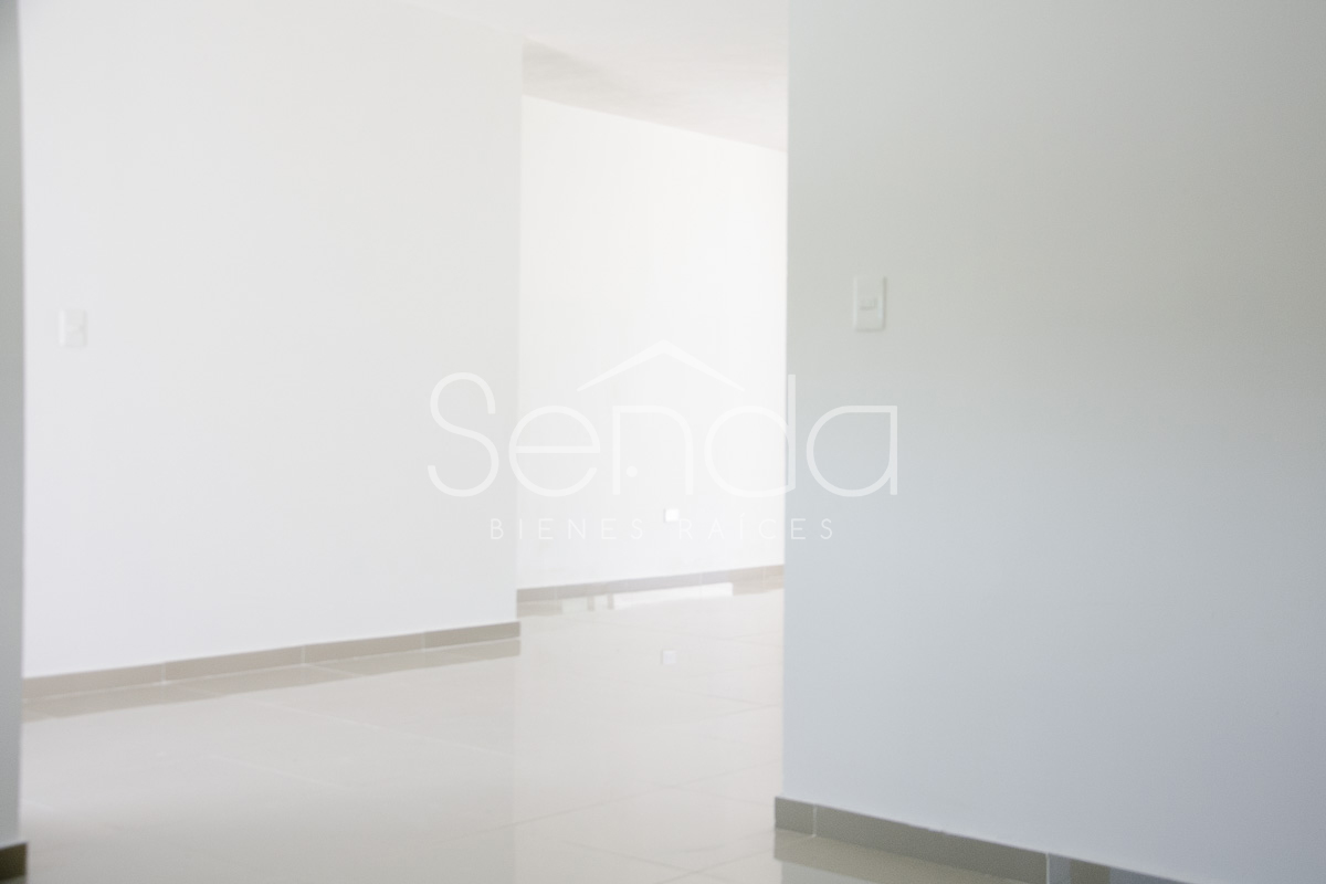 2019-09-10_23_51_18_07_19WE-06_PALMAR IV_15.jpg